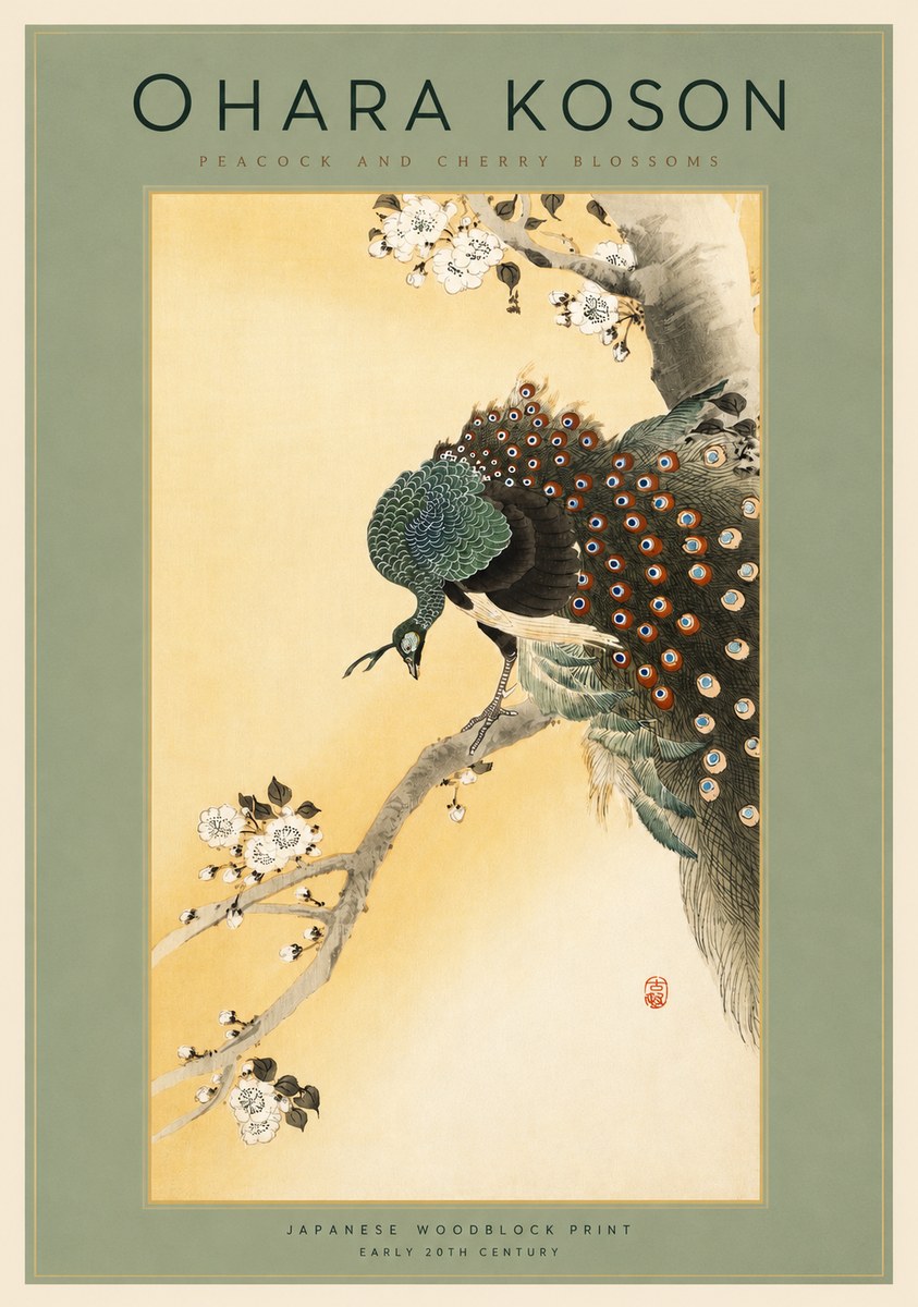 Ohara Koson Peacock and Cherry Blossoms No2 - Affiche
