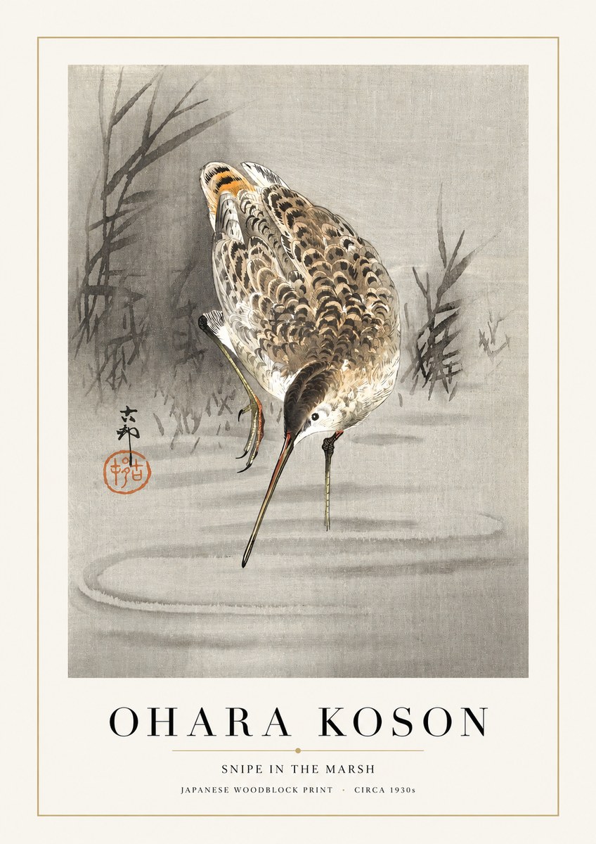 Ohara Koson Snipe in the Marsh No1 - Affiche