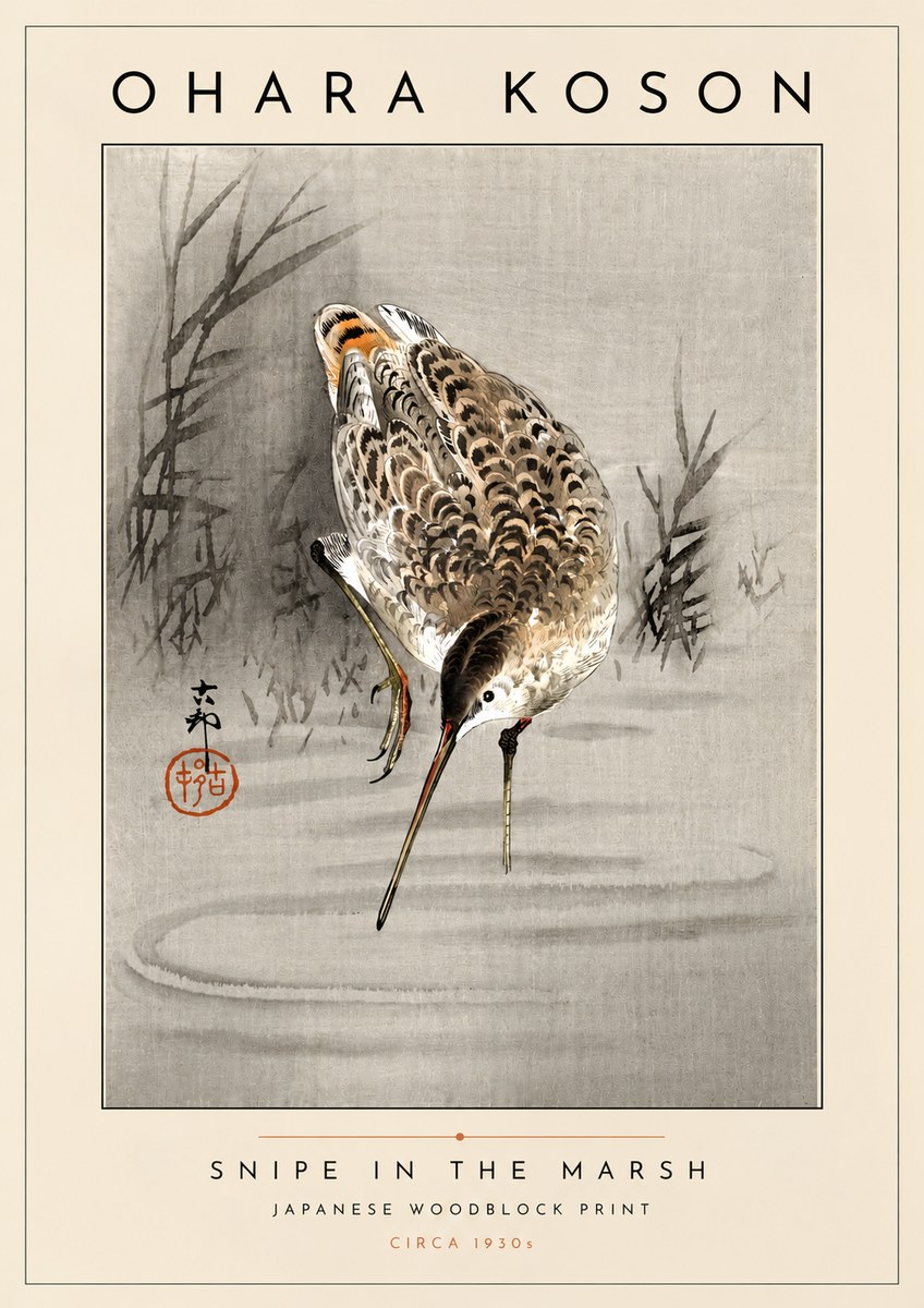 Ohara Koson Snipe in the Marsh No4 - Affiche