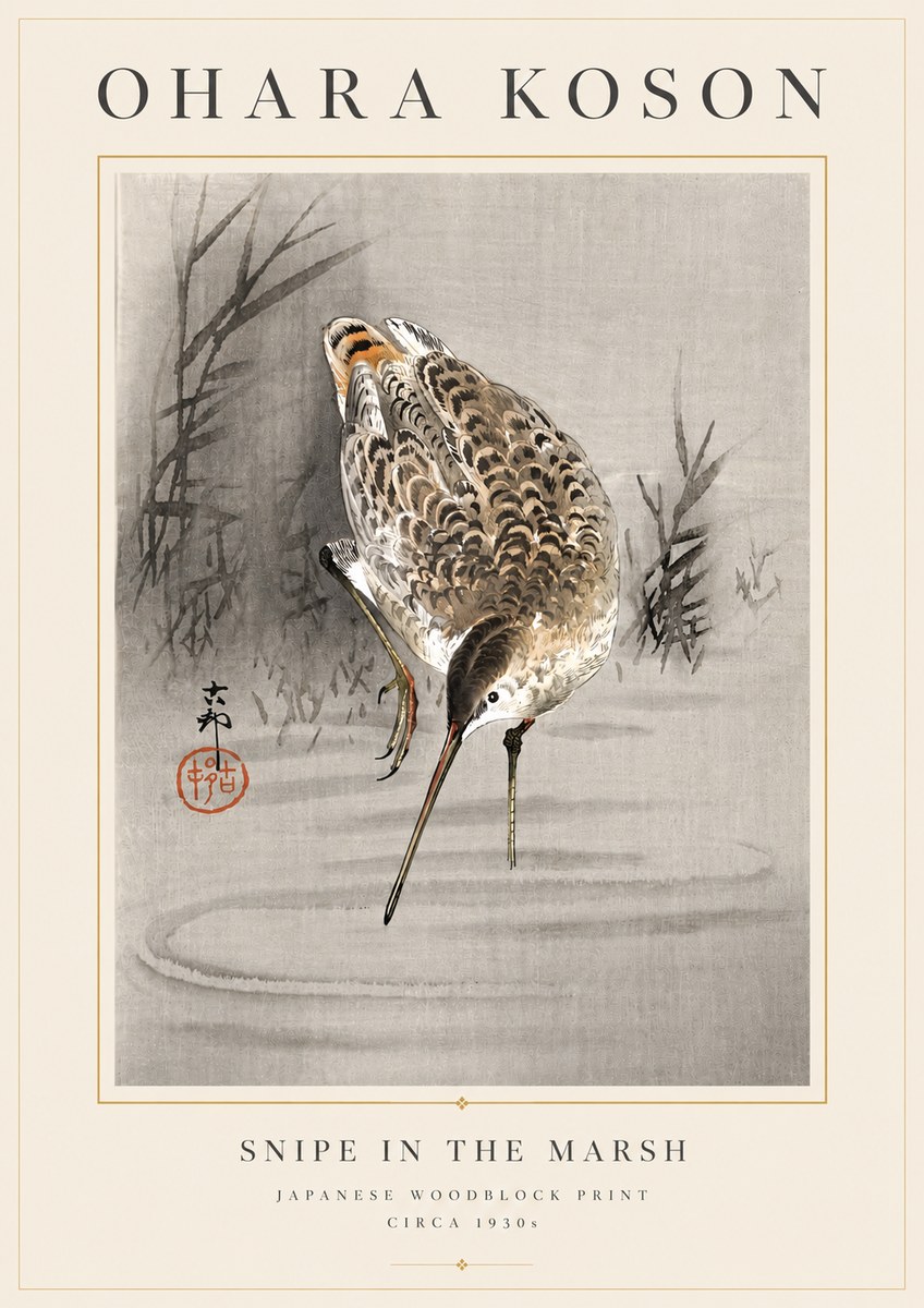 Ohara Koson Snipe in the Marsh No6 - Affiche