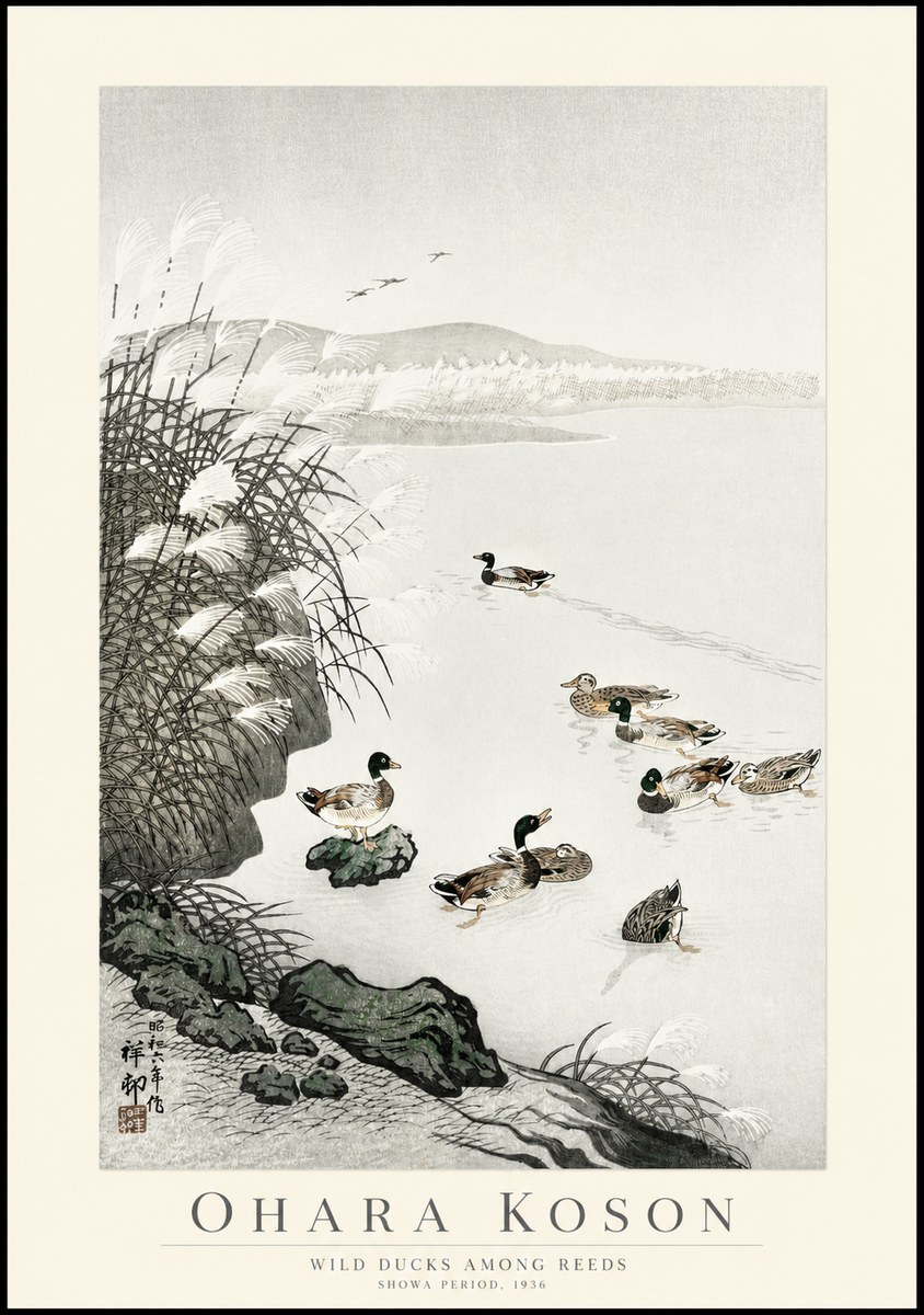 Ohara Koson Wild Ducks Among Reeds No1 - Affiche