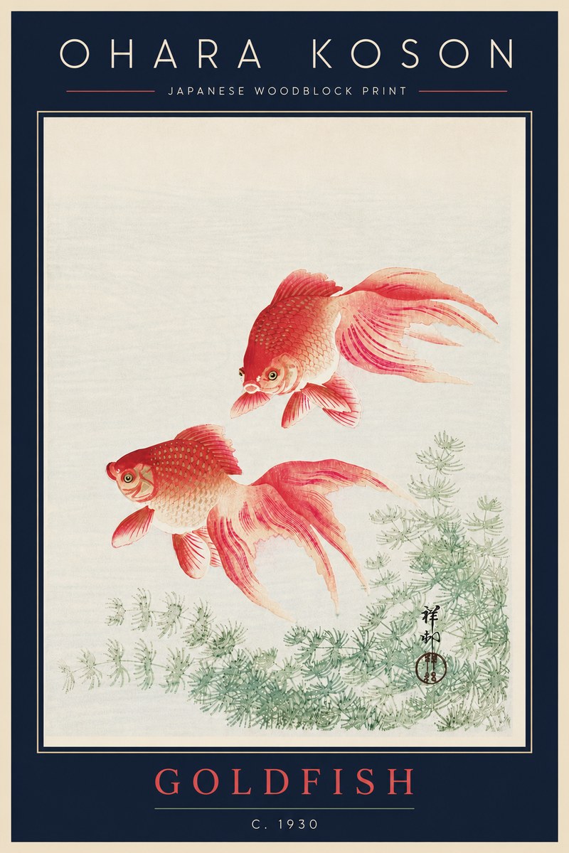Ohara Koson Goldfish No5 - Affiche