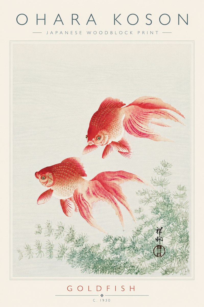 Ohara Koson Goldfish No6 - Affiche