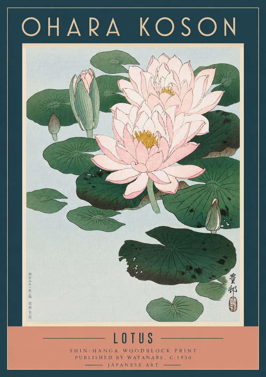 Ohara Koson Lotus I No3 - Affiche