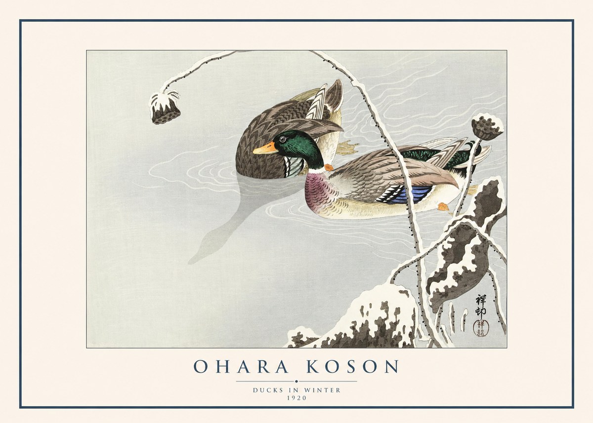 Ohara Koson Ducks in Winter No1 - Affiche