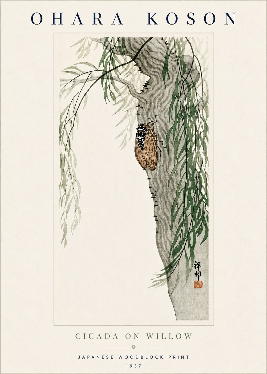 Ohara Koson Cicada on Willow No5 - Affiche