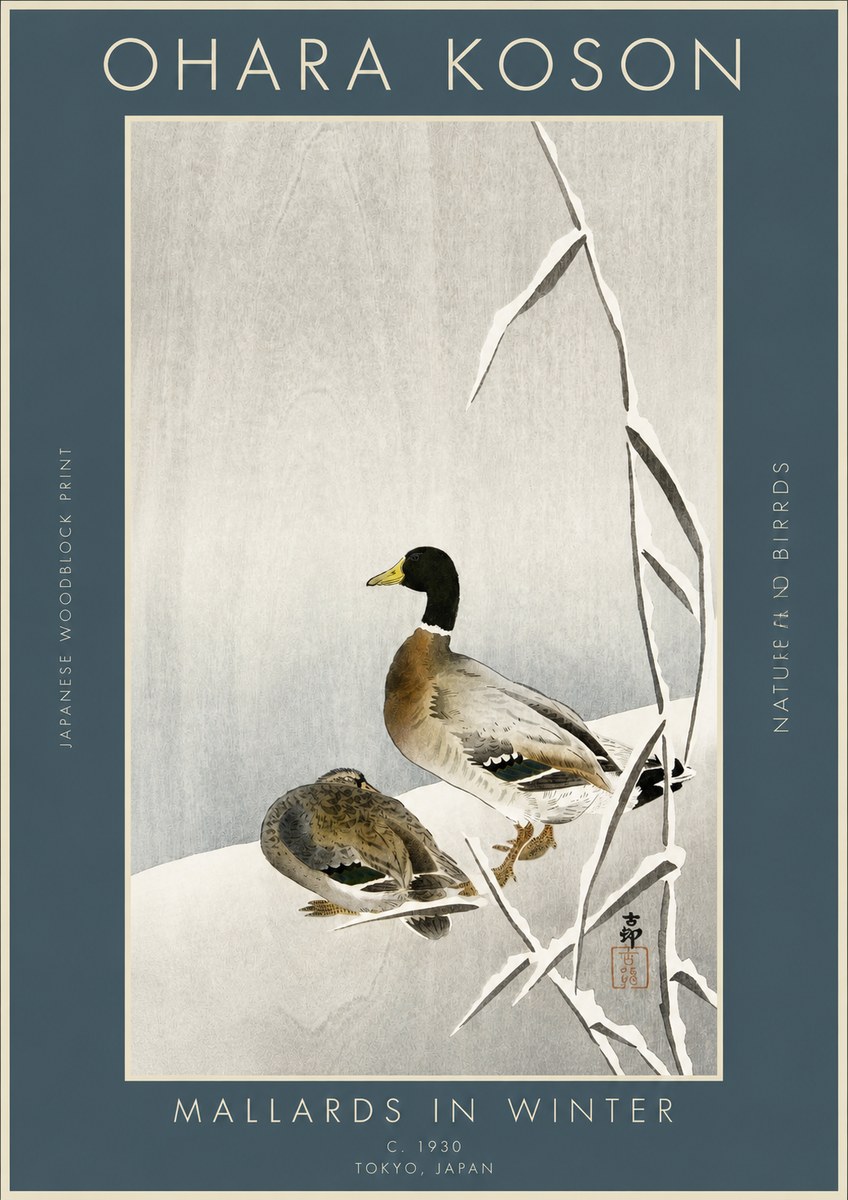 Ohara Koson Mallards in Winter No3 - Affiche