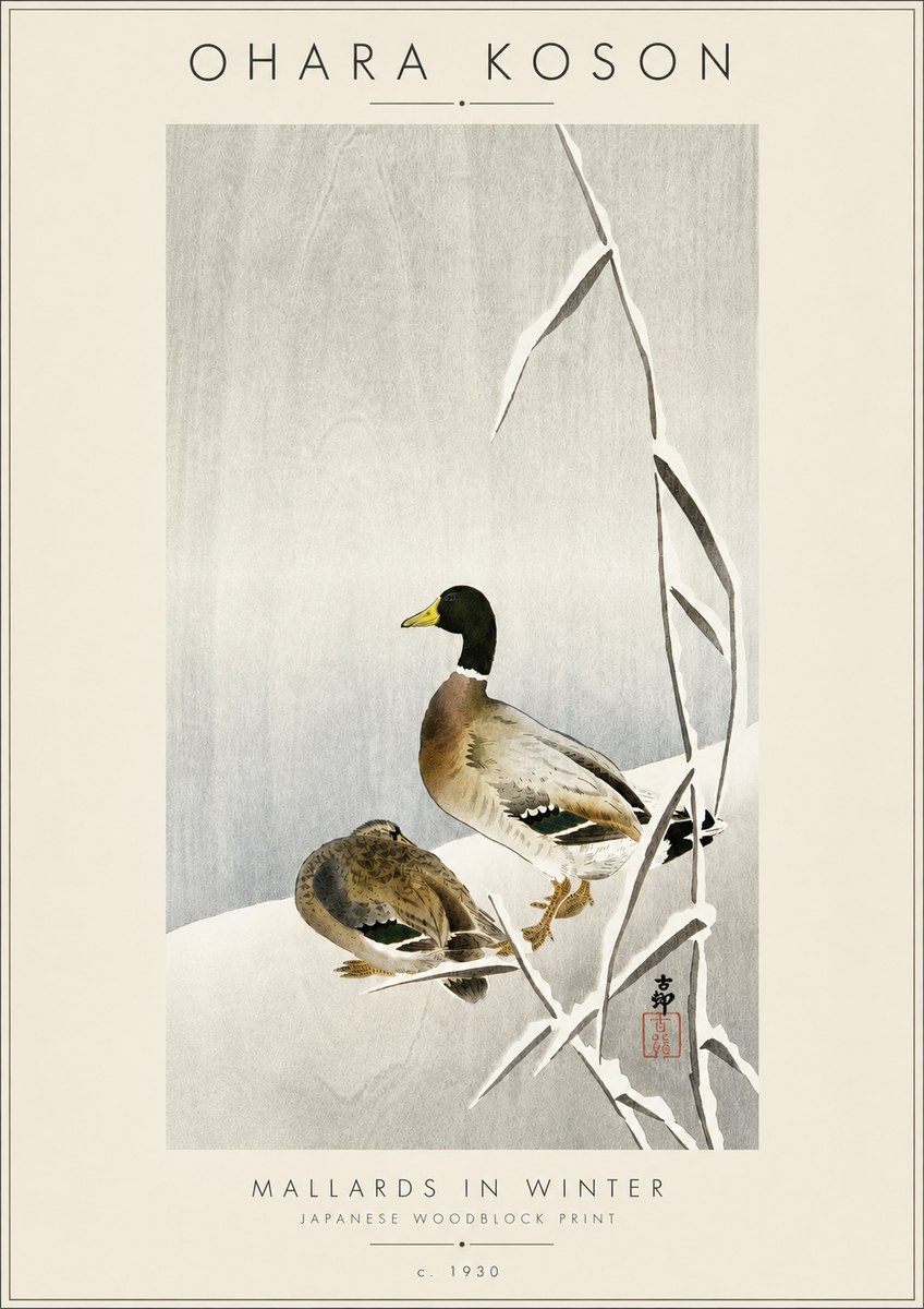 Ohara Koson Mallards in Winter No4 - Affiche