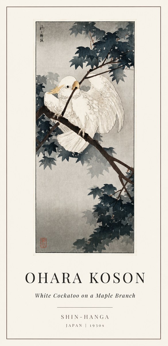 Ohara Koson White Cockatoo on a Maple Branch No1 - Affiche