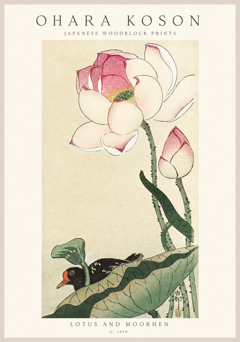 Ohara Koson Lotus and Moorhen No1 - Affiche