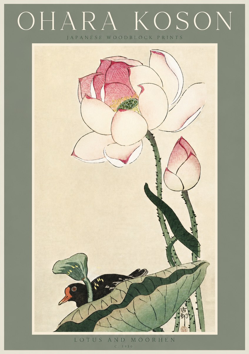 Ohara Koson Lotus and Moorhen No3 - Affiche