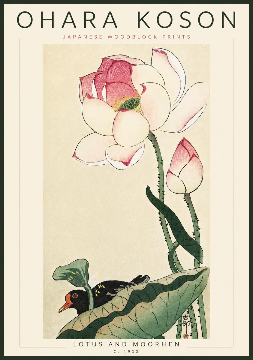 Ohara Koson Lotus and Moorhen No6 - Affiche