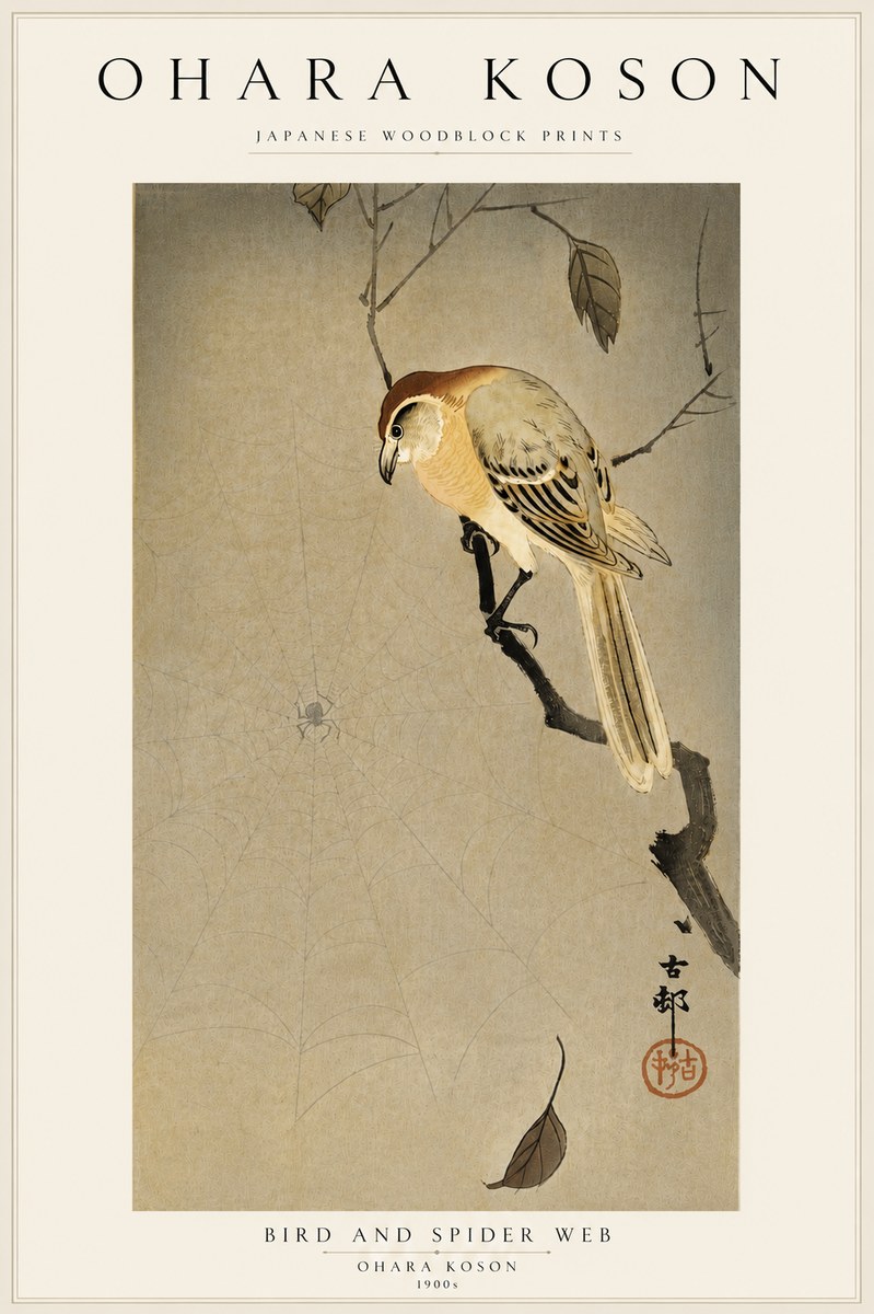 Ohara Koson Bird and Spider Web I No5 - Affiche