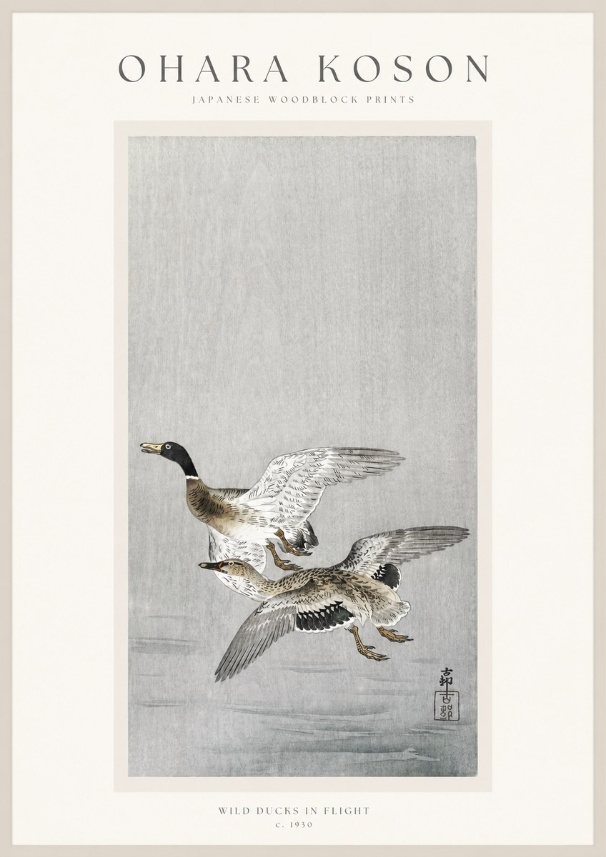 Ohara Koson Wild Ducks in Flight No1 - Affiche