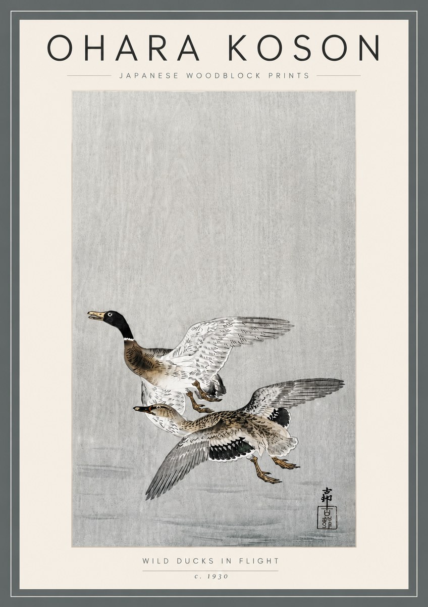 Ohara Koson Wild Ducks in Flight No5 - Affiche