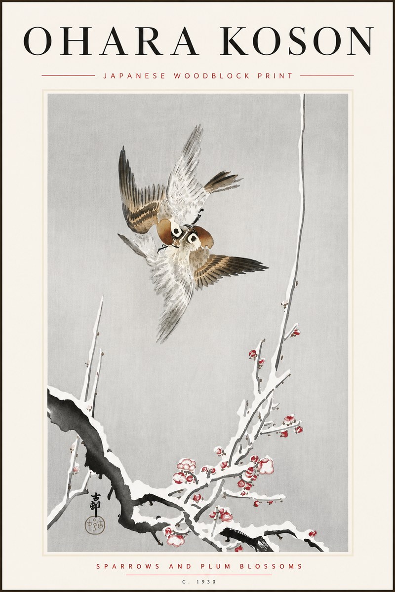 Ohara Koson Sparrows and Plum Blossoms No5 - Affiche