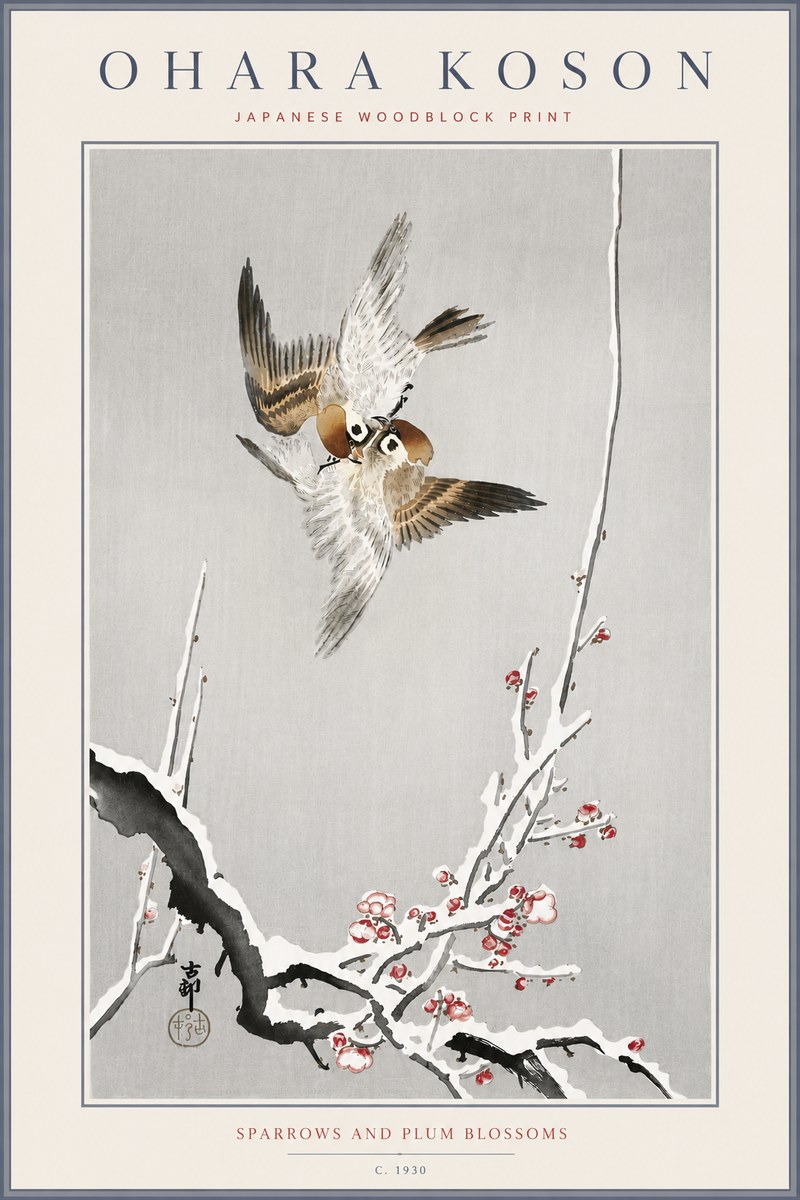 Ohara Koson Sparrows and Plum Blossoms No6 - Affiche