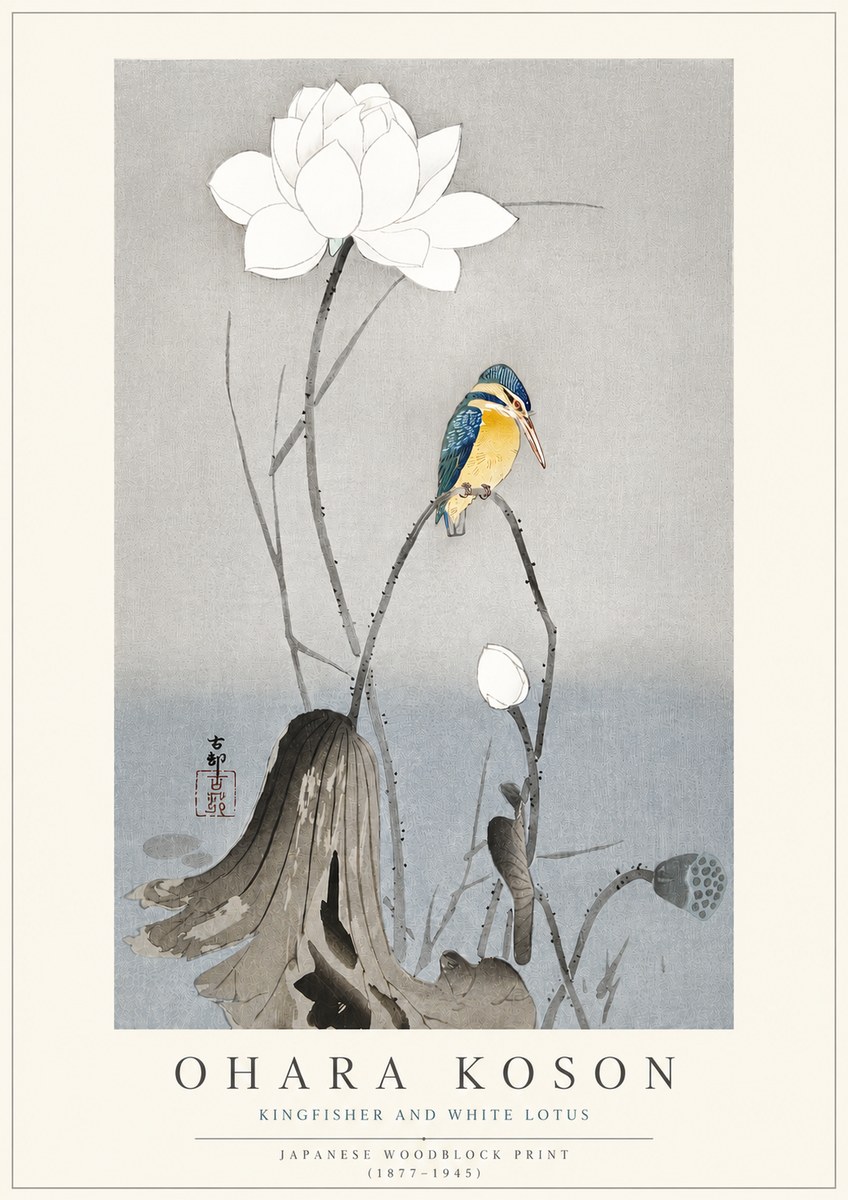 Ohara Koson Kingfisher and White Lotus No3 - Affiche