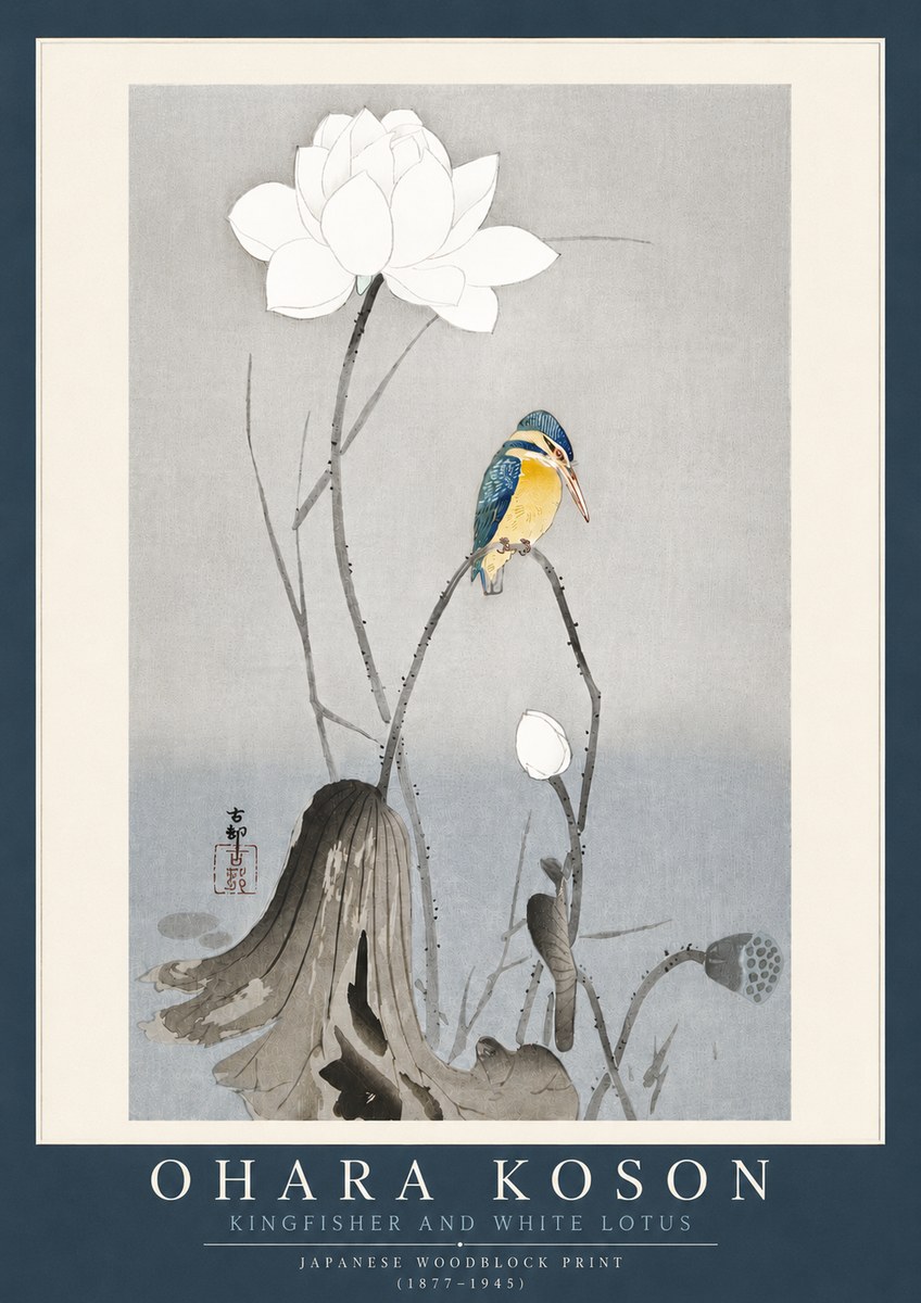 Ohara Koson Kingfisher and White Lotus No4 - Affiche