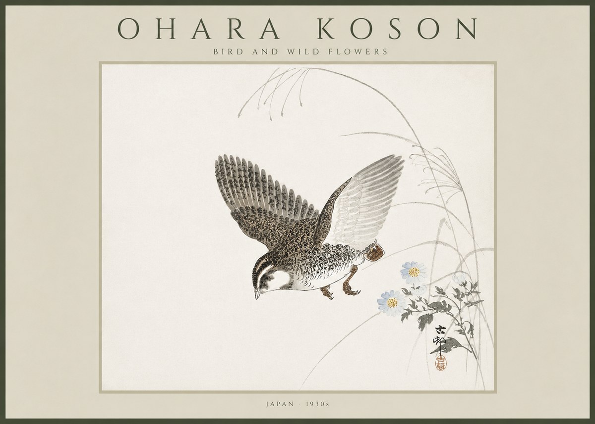 Ohara Koson Bird and Wild Flowers No4 - Affiche