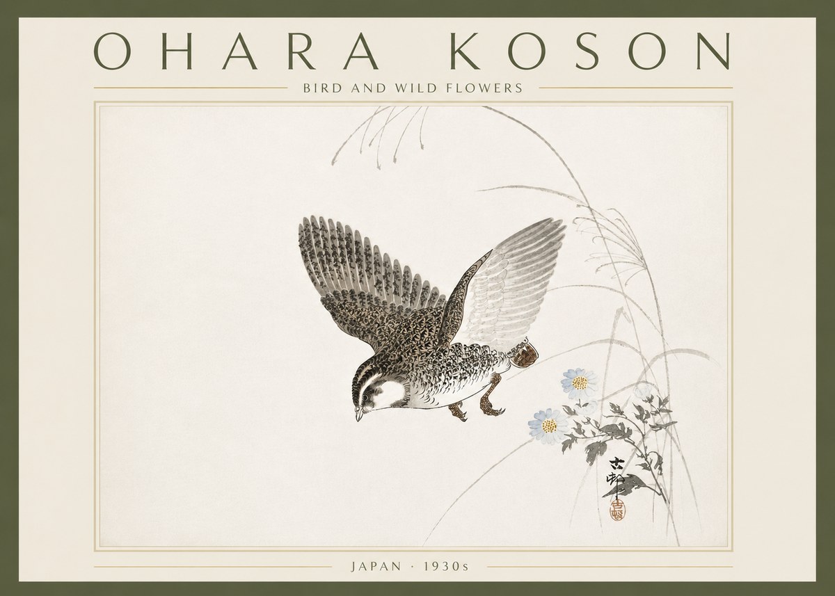 Ohara Koson Bird and Wild Flowers No6 - Affiche