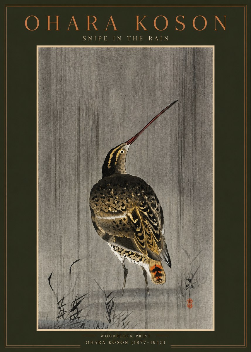 Ohara Koson Snipe in the Rain No2 - Affiche