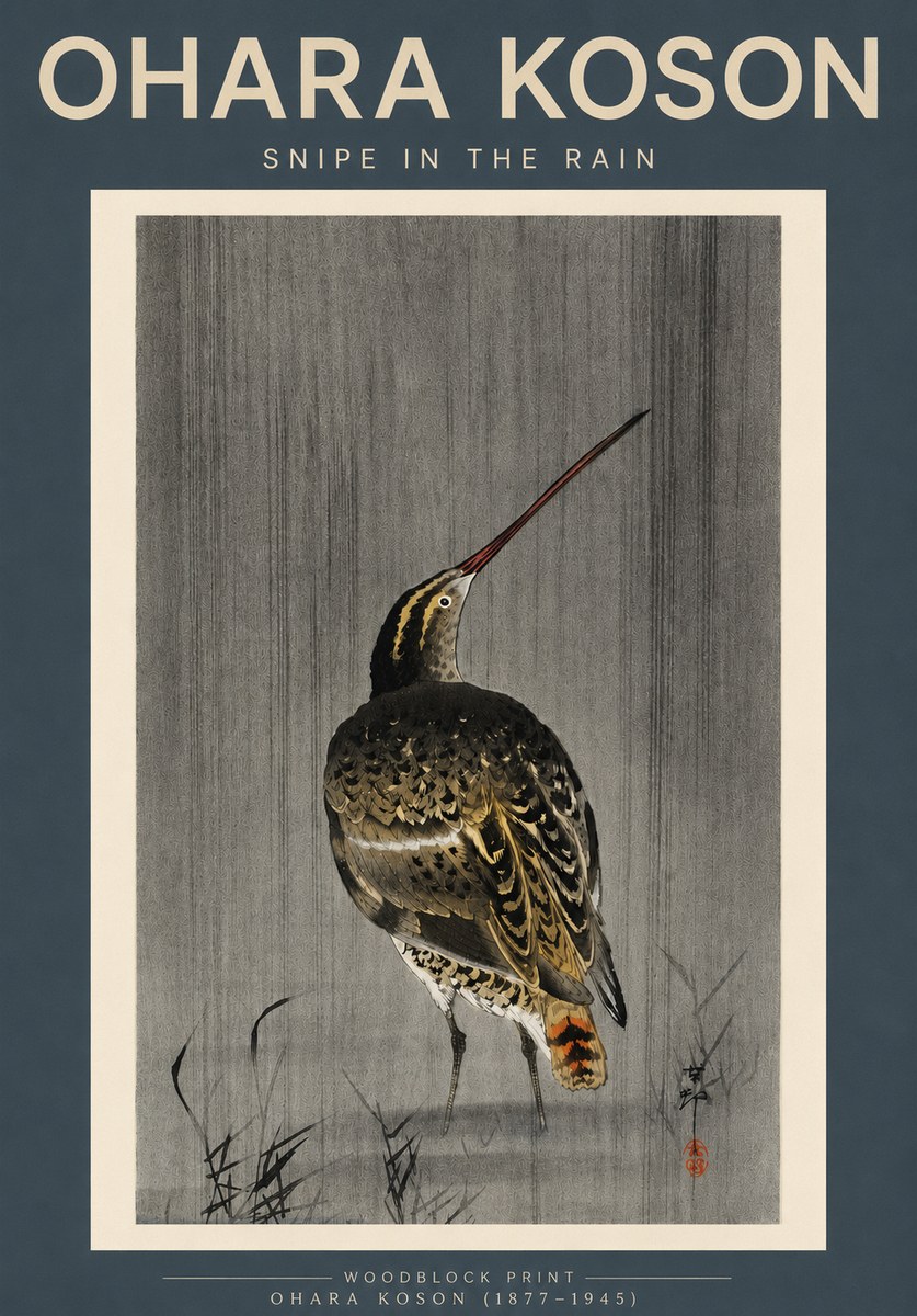 Ohara Koson Snipe in the Rain No3 - Affiche