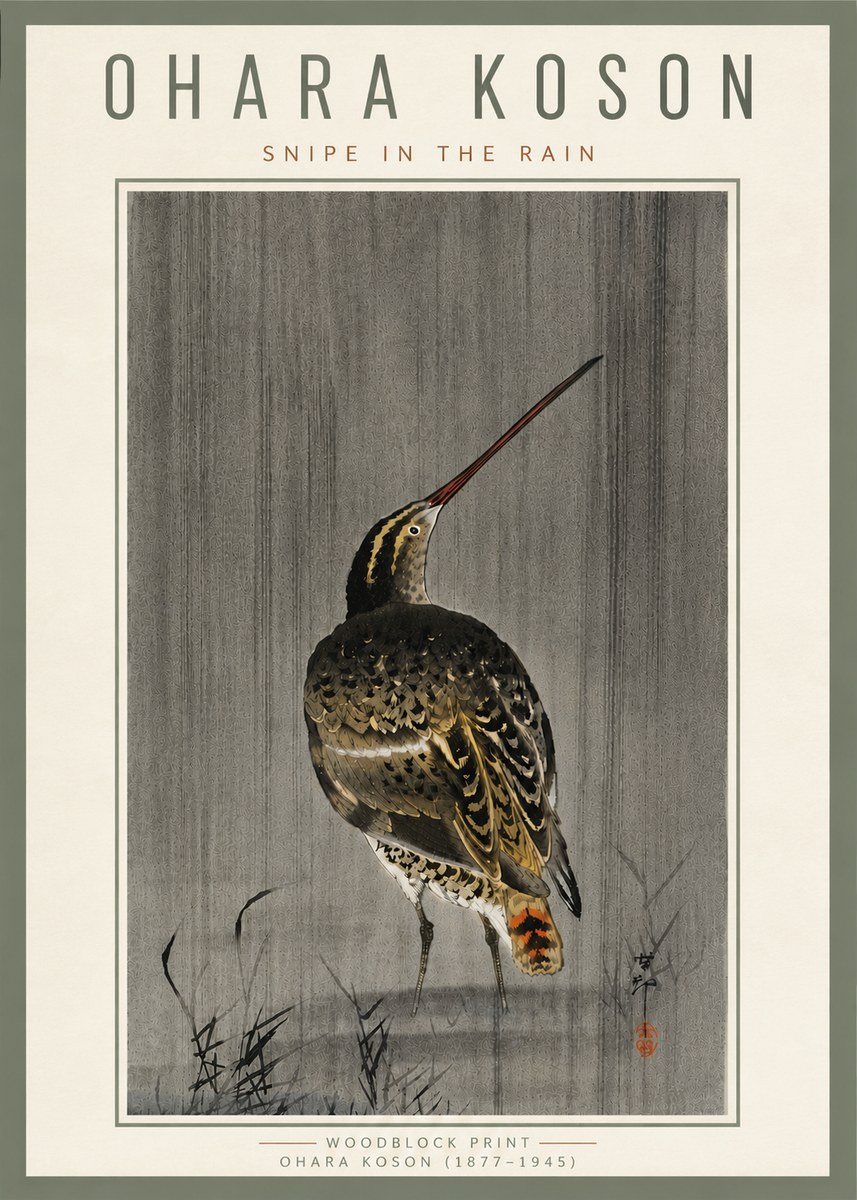 Ohara Koson Snipe in the Rain No6 - Affiche