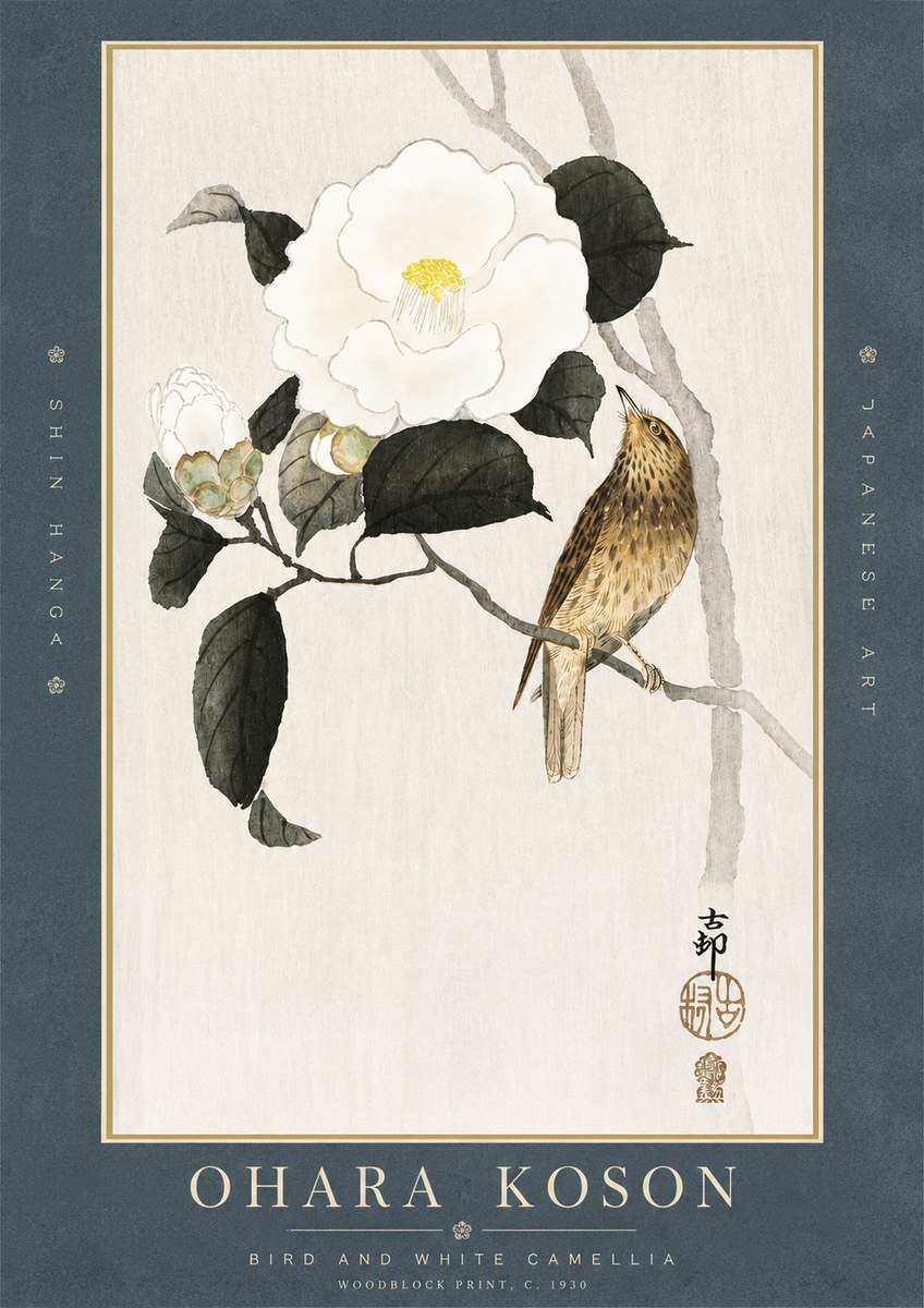 Ohara Koson Bird and White Camellia No3 - Affiche