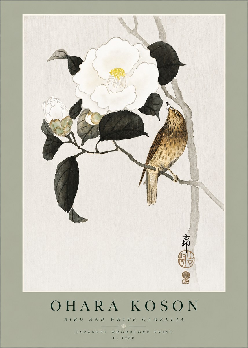 Ohara Koson Bird and White Camellia No4 - Affiche