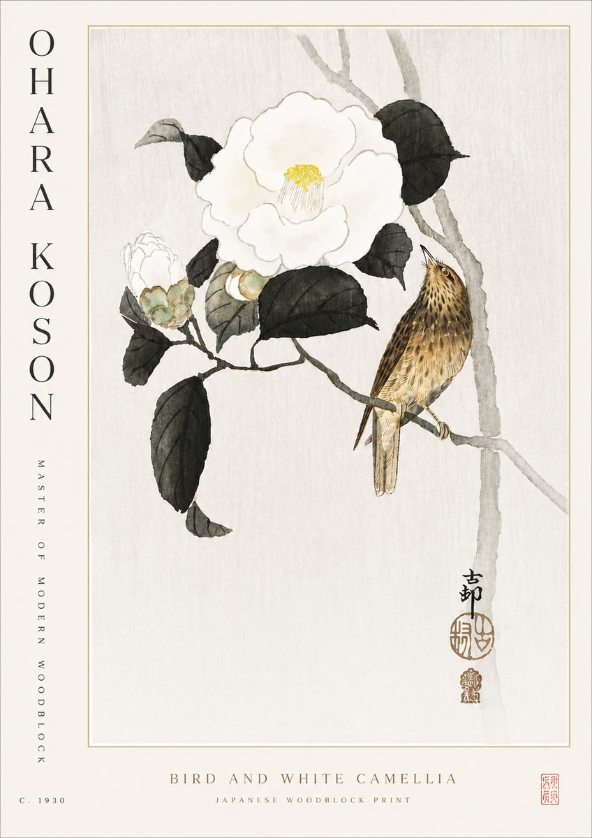 Ohara Koson Bird and White Camellia No5 - Affiche