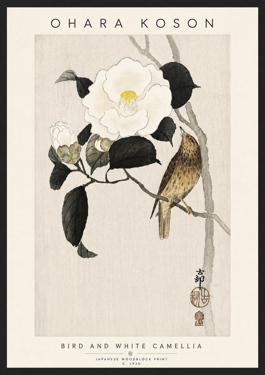 Ohara Koson Bird and White Camellia No6 - Affiche