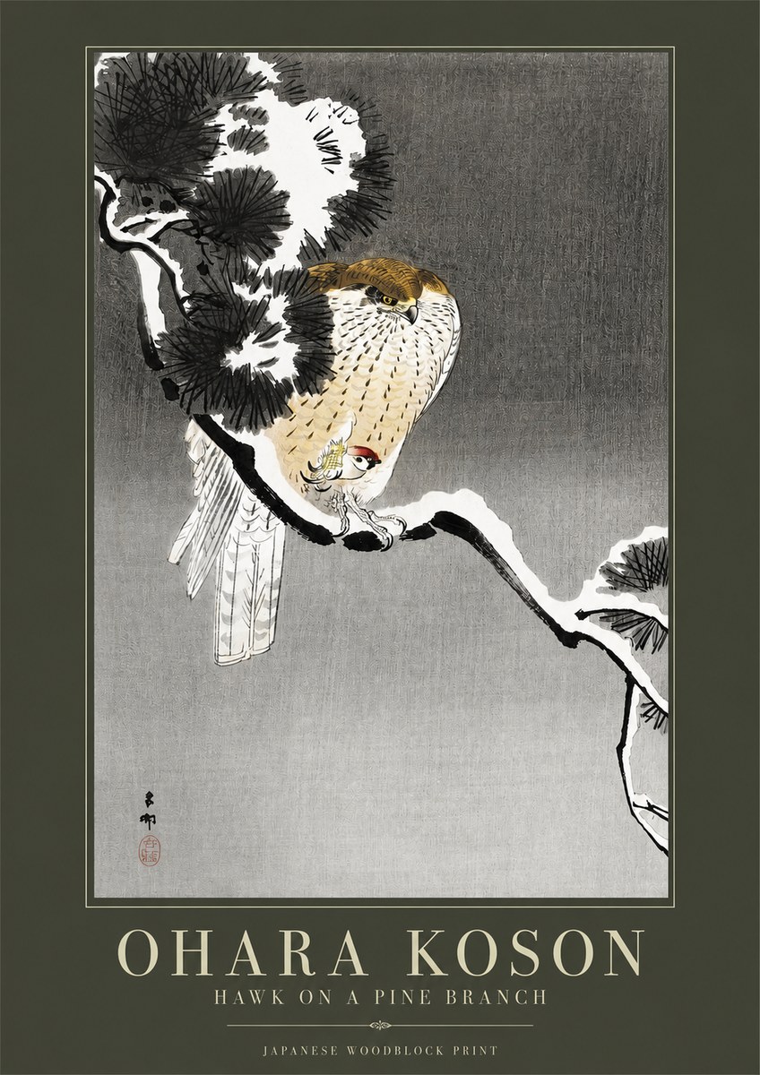Ohara Koson Hawk on a Pine Branch No2 - Affiche