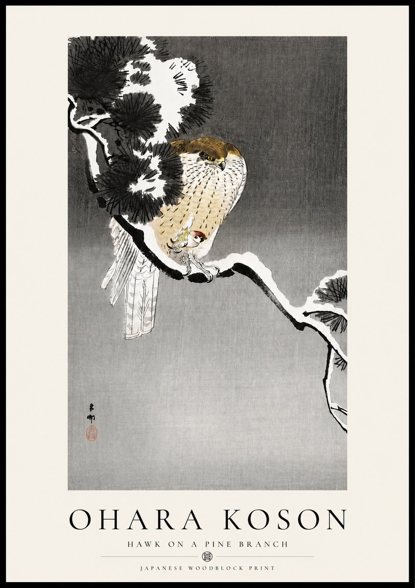 Ohara Koson Hawk on a Pine Branch No4 - Affiche