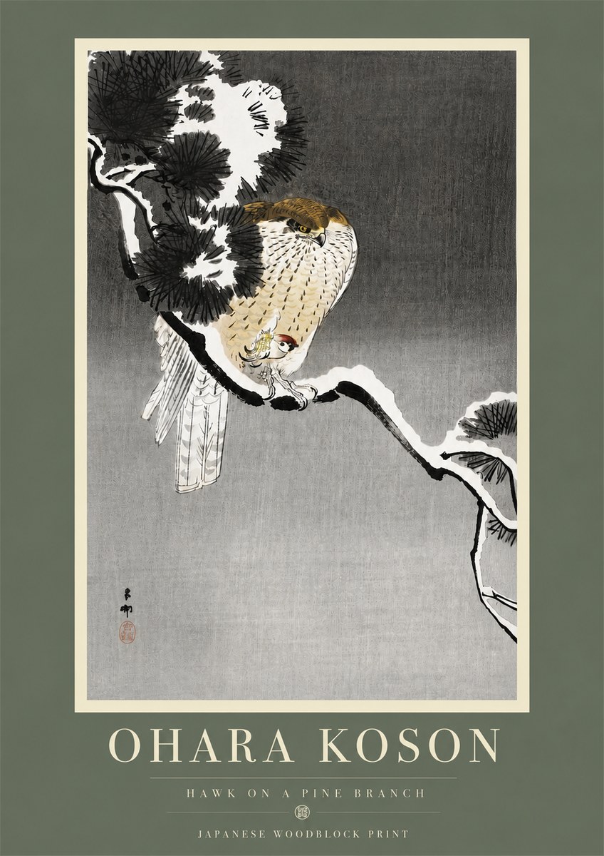 Ohara Koson Hawk on a Pine Branch No5 - Affiche