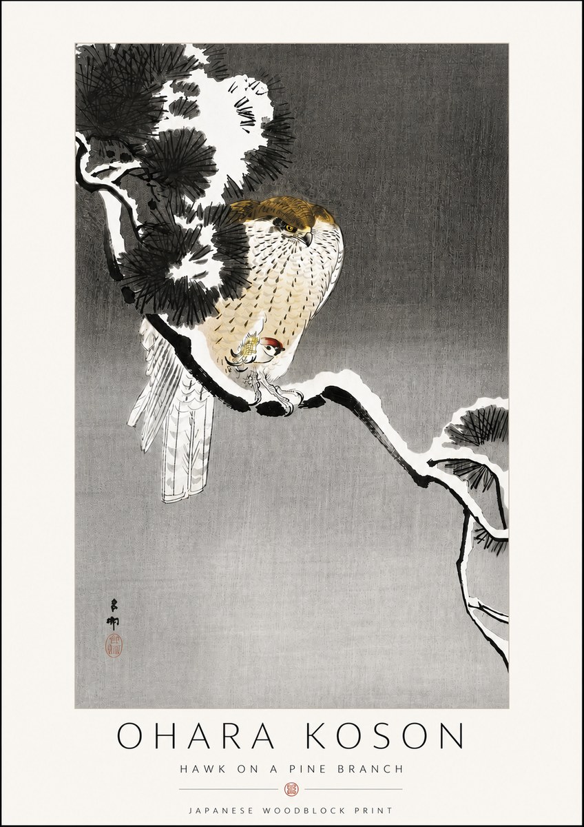 Ohara Koson Hawk on a Pine Branch No6 - Affiche