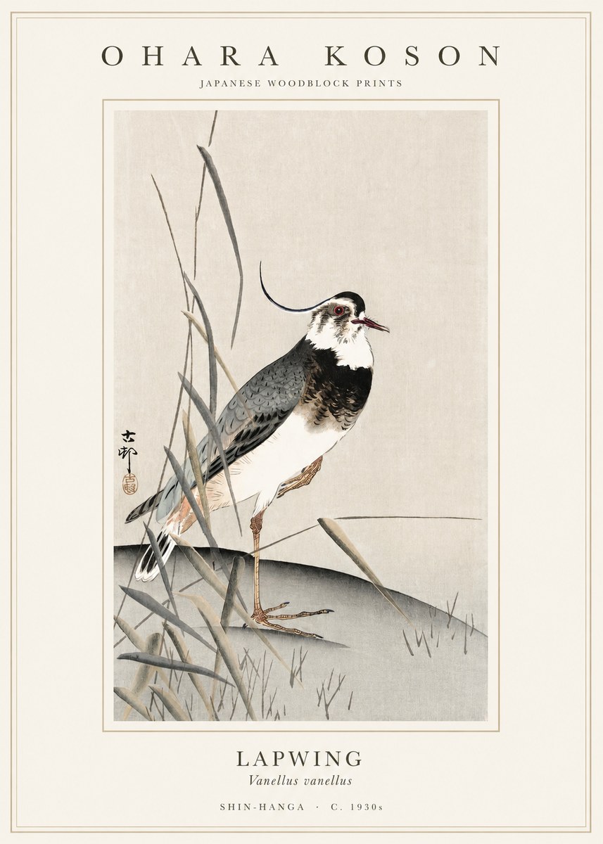 Ohara Koson Lapwing No1 - Affiche