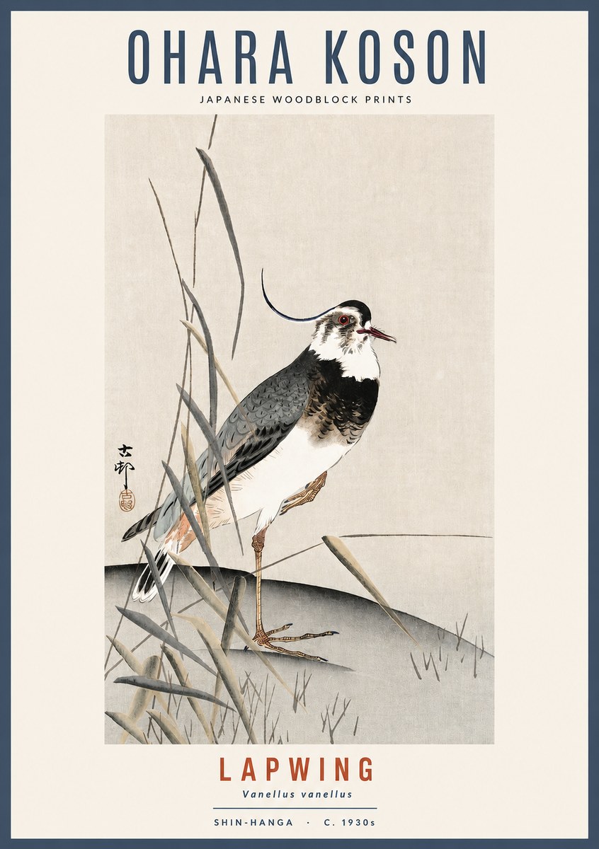 Ohara Koson Lapwing No2 - Affiche