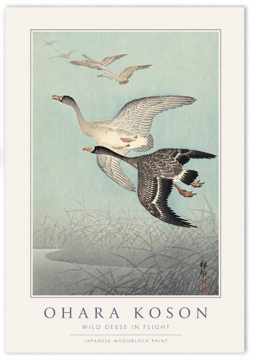 Ohara Koson Wild Geese in Flight II No1 - Affiche