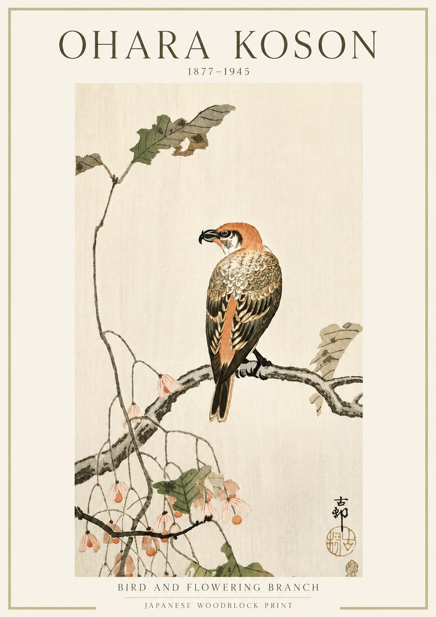 Ohara Koson Bird and Flowering Branch No5 - Affiche