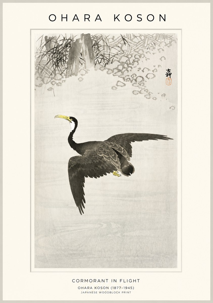 Ohara Koson Cormorant in Flight No1 - Affiche