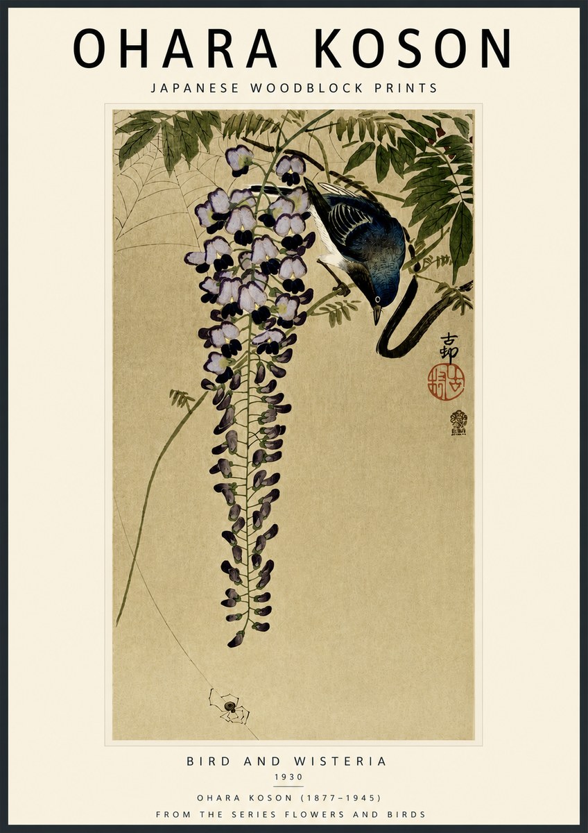 Ohara Koson Bird and Wisteria No5 - Affiche