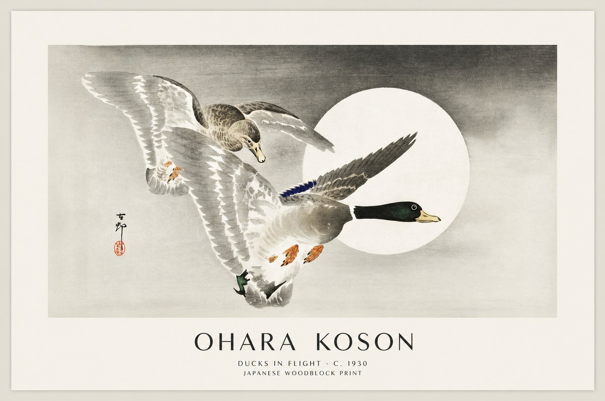 Ohara Koson Ducks in Flight No1 - Affiche