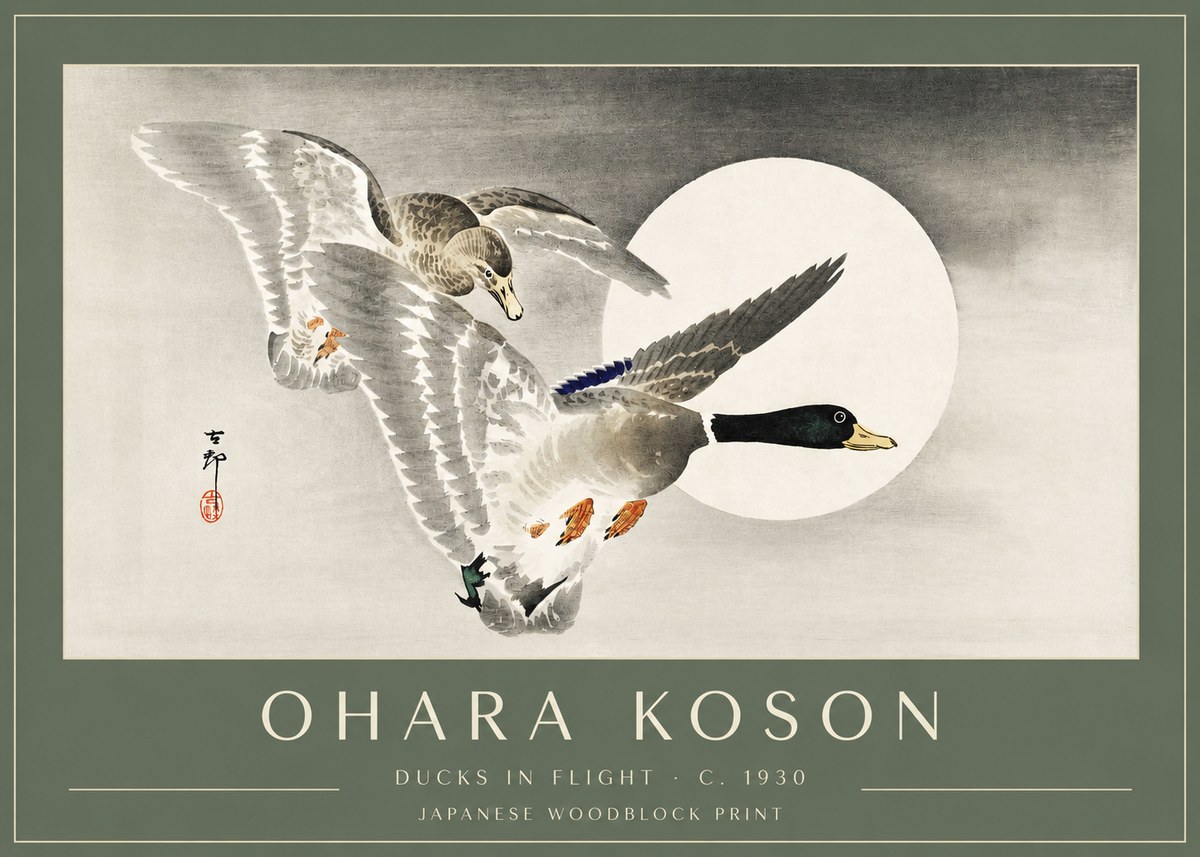 Ohara Koson Ducks in Flight No3 - Affiche