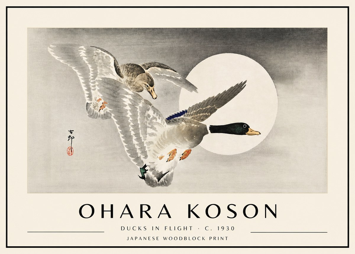 Ohara Koson Ducks in Flight No4 - Affiche