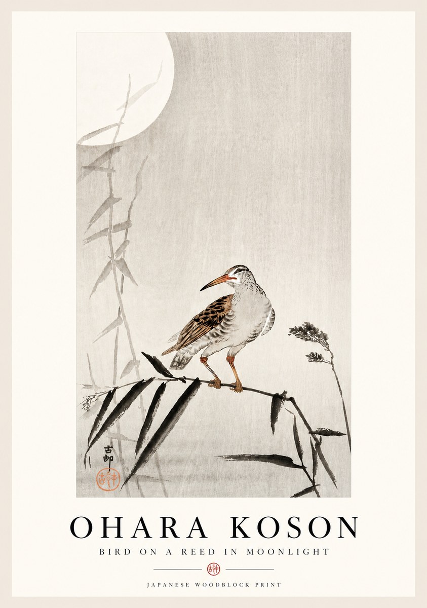 Ohara Koson Bird on a Reed in Moonlight No4 - Affiche
