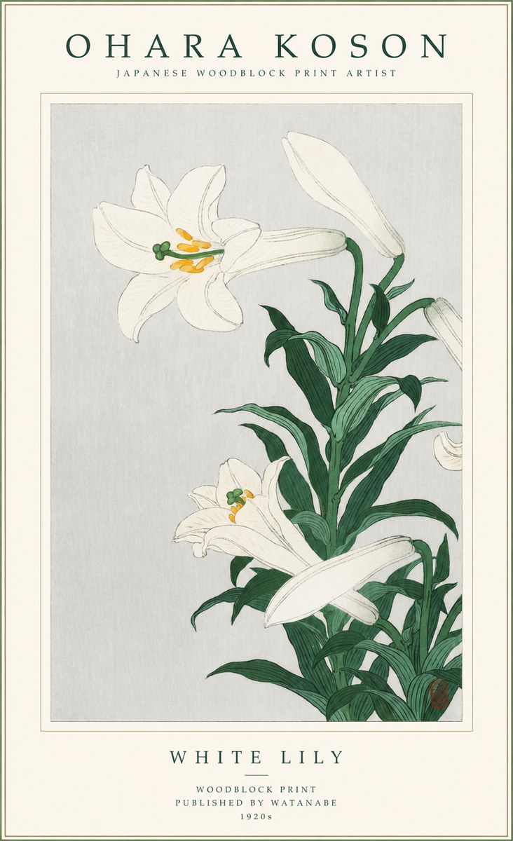 Ohara Koson White Lily No1 - Affiche