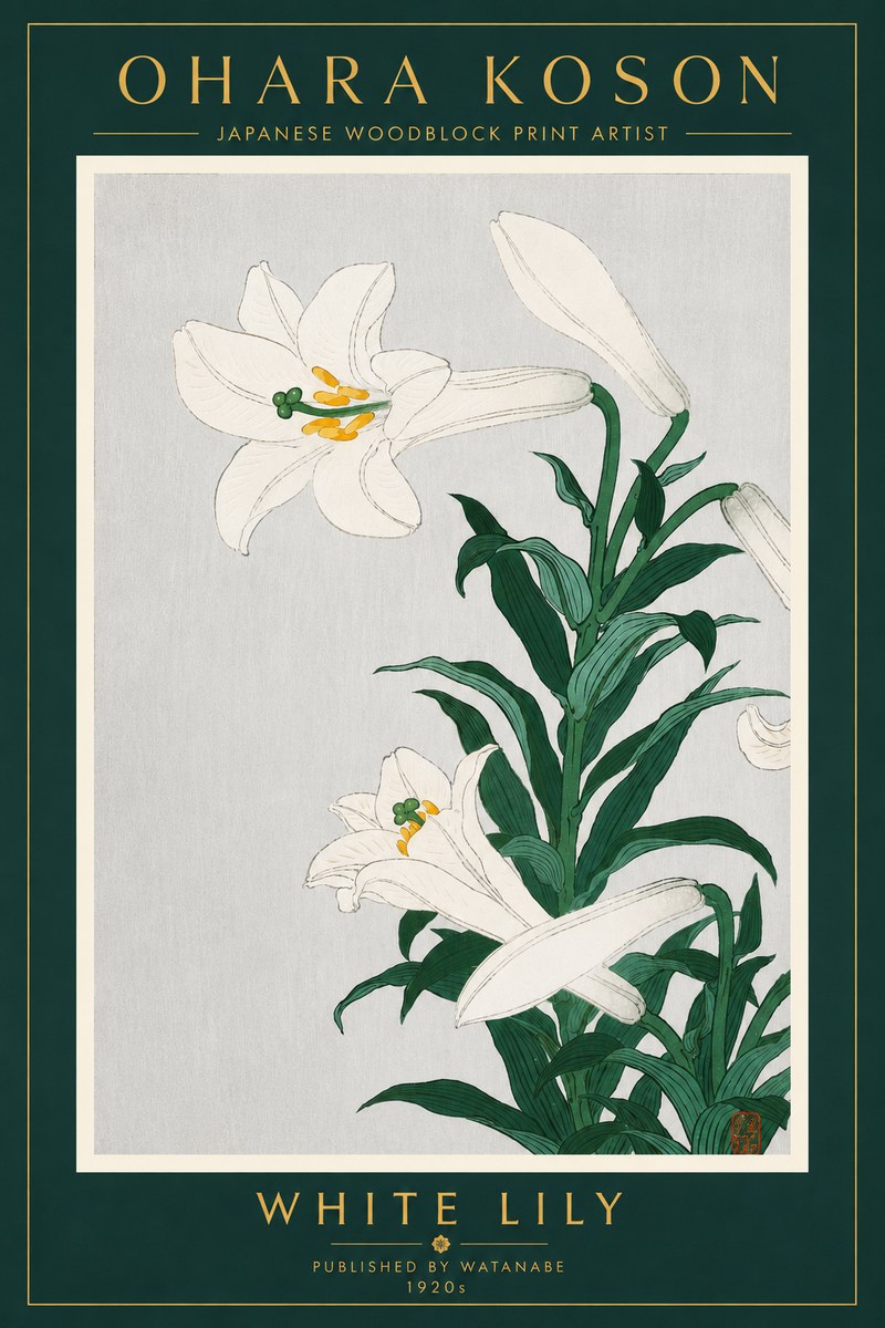 Ohara Koson White Lily No4 - Affiche