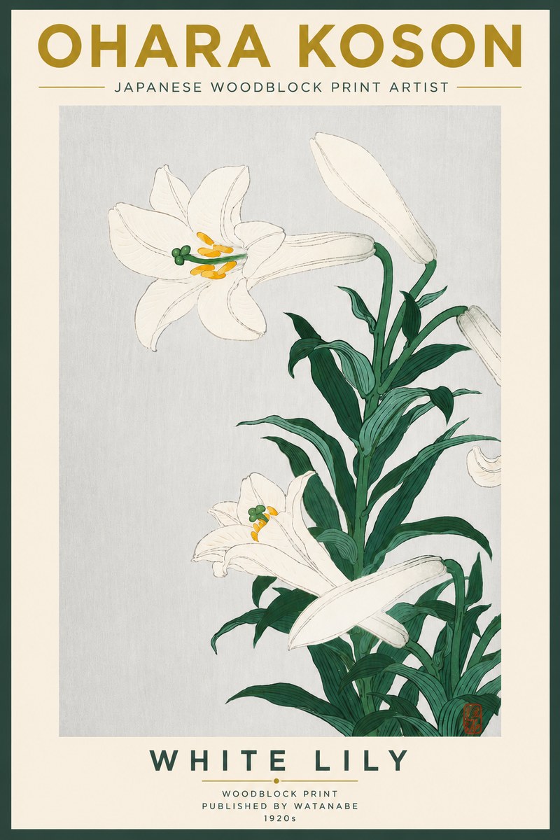 Ohara Koson White Lily No5 - Affiche