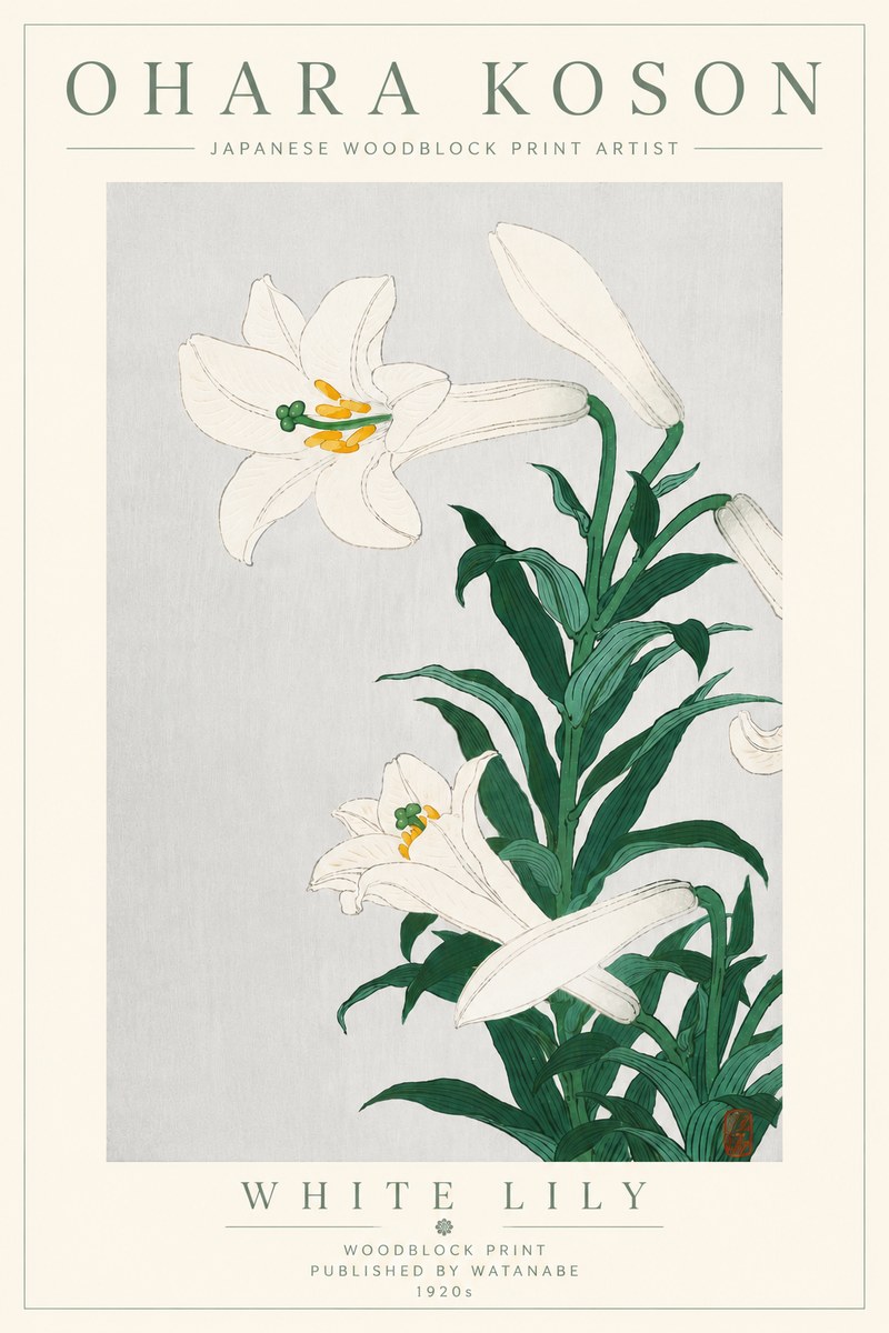 Ohara Koson White Lily No6 - Affiche